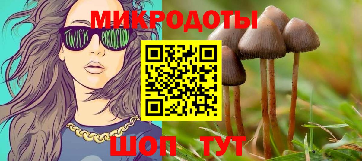 Обнинск  Галлюциногенные грибы Psilocybine cubensis  Вход с VPN 