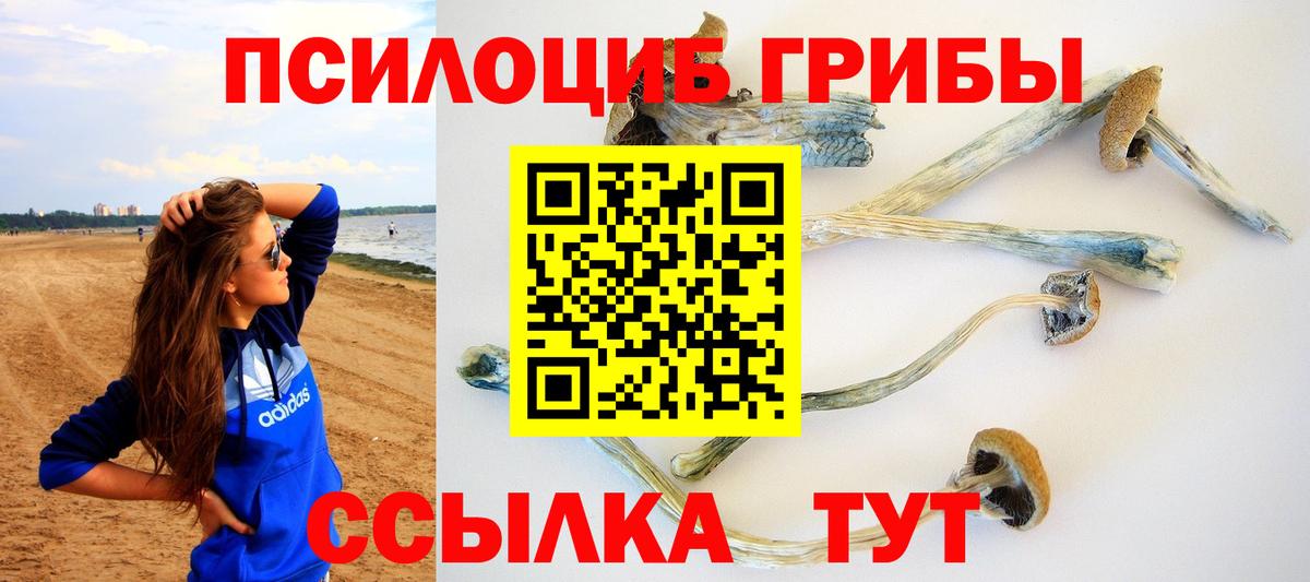 Псилоцибиновые грибы ЛСД Обнинск